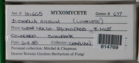 Image Associated With the Occurence